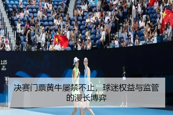 决赛门票黄牛屡禁不止，球迷权益与监管的漫长博弈